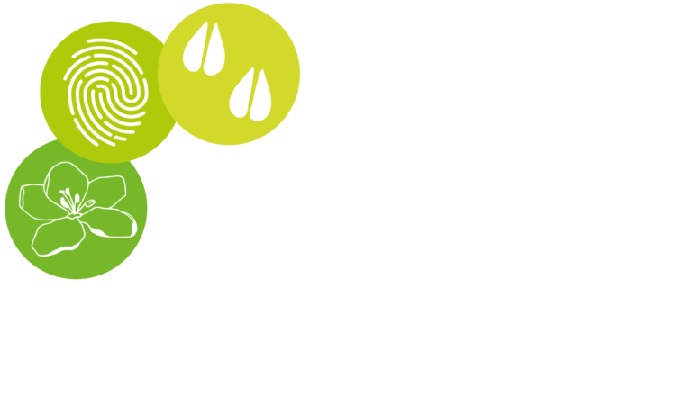 stiftungmaerksauerland-logo-1200px